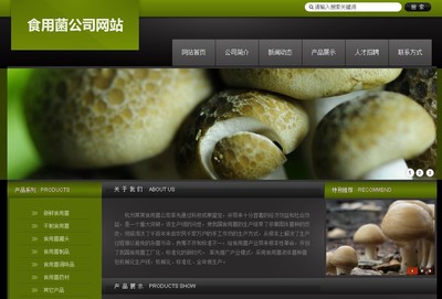 專業網頁設計與網站制作 打造您的數字門戶與品牌名片